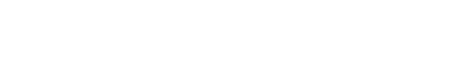 TikTok Ads